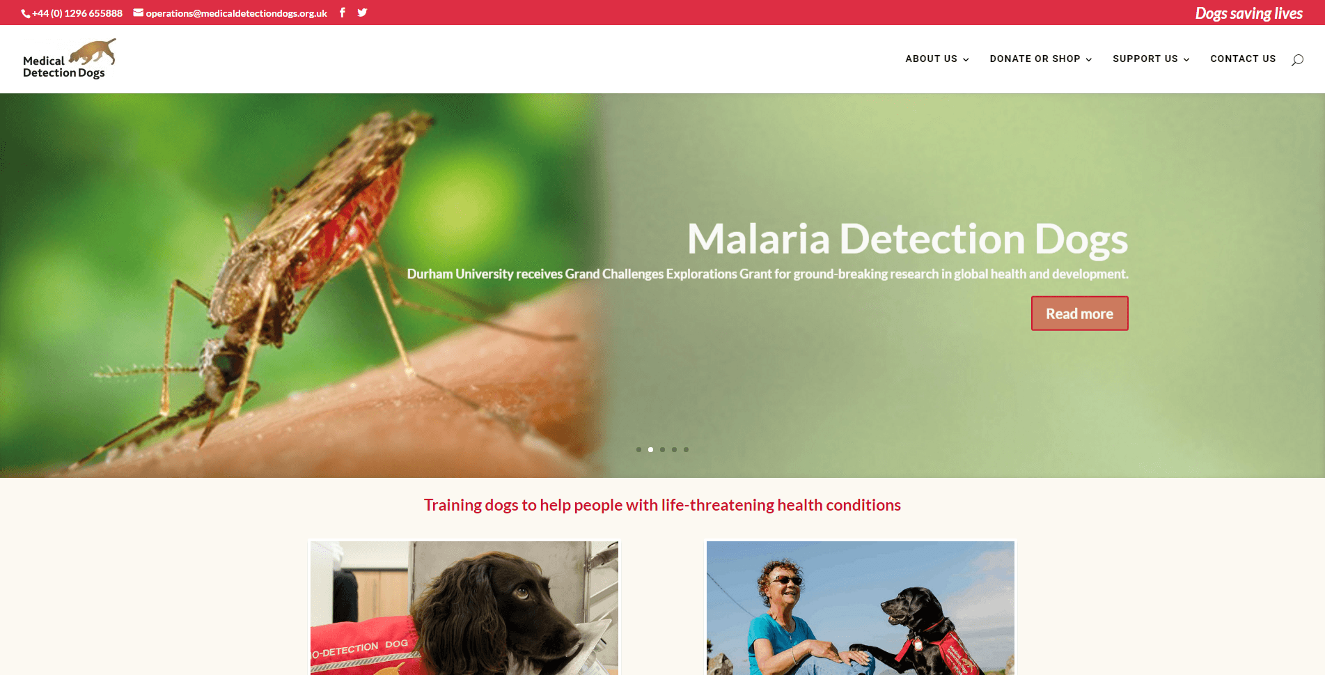 Durham Academic Uses Dogs to Detect Malaria