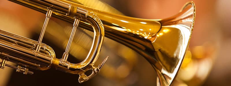 Sharing a Love of BRASS with County Durham’s Children