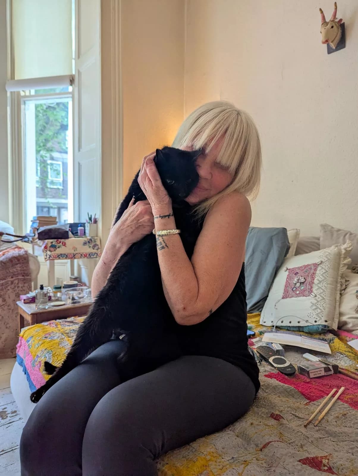 RSPCA Urges Action as Majority of Cats in Care Remain Unchipped a Year After Law Change