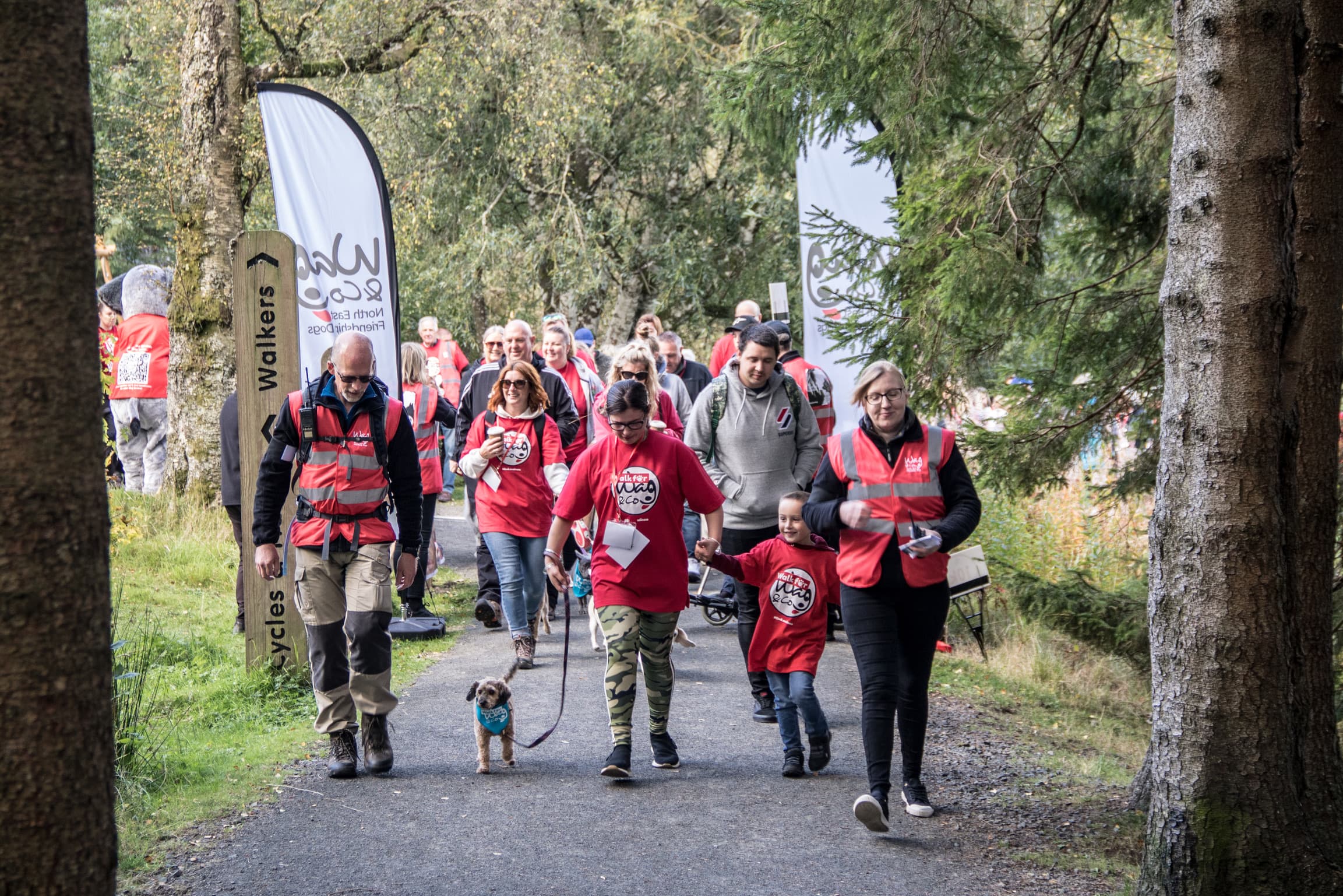 Dog walkers in annual fundraiser for Wag & Company charity
