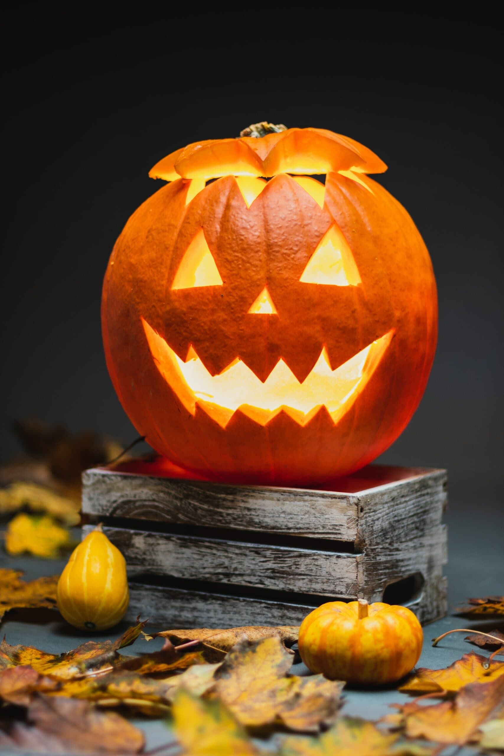 Pumpkin Festival at Adventure Valley This Weekend