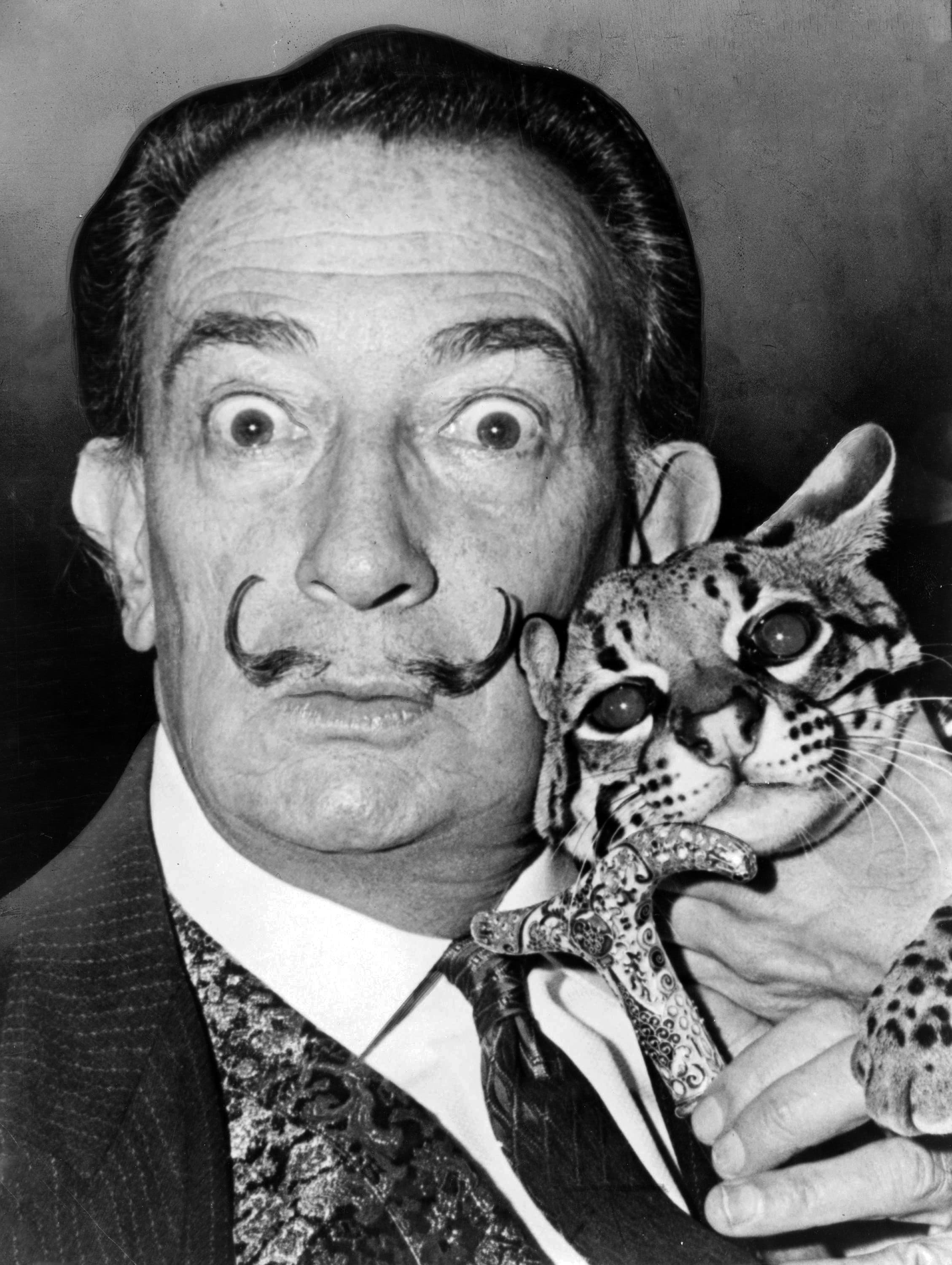 Fine art is fine Salvador Dali Exhibition here in Durham, Saturday 11th June