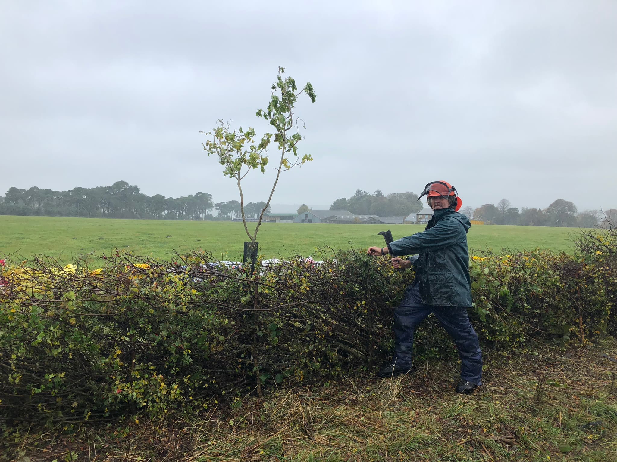 Durham’s 22nd Hedgelaying Competition Set To Take Place On October 8th