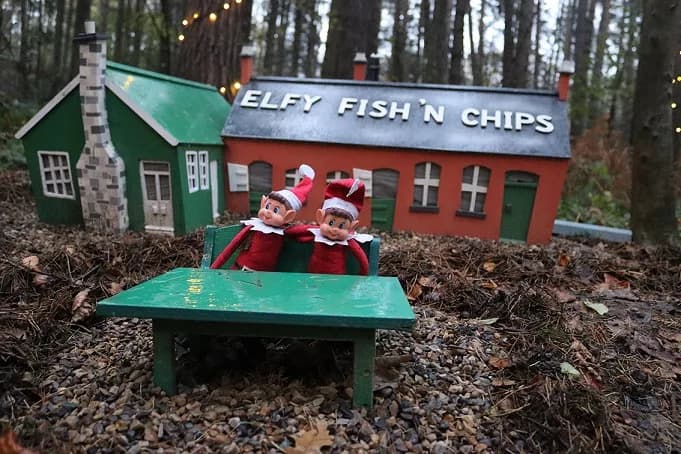 Twinkling Lights, Traditional Treats and Timeless Traditions at Beamish This Christmas