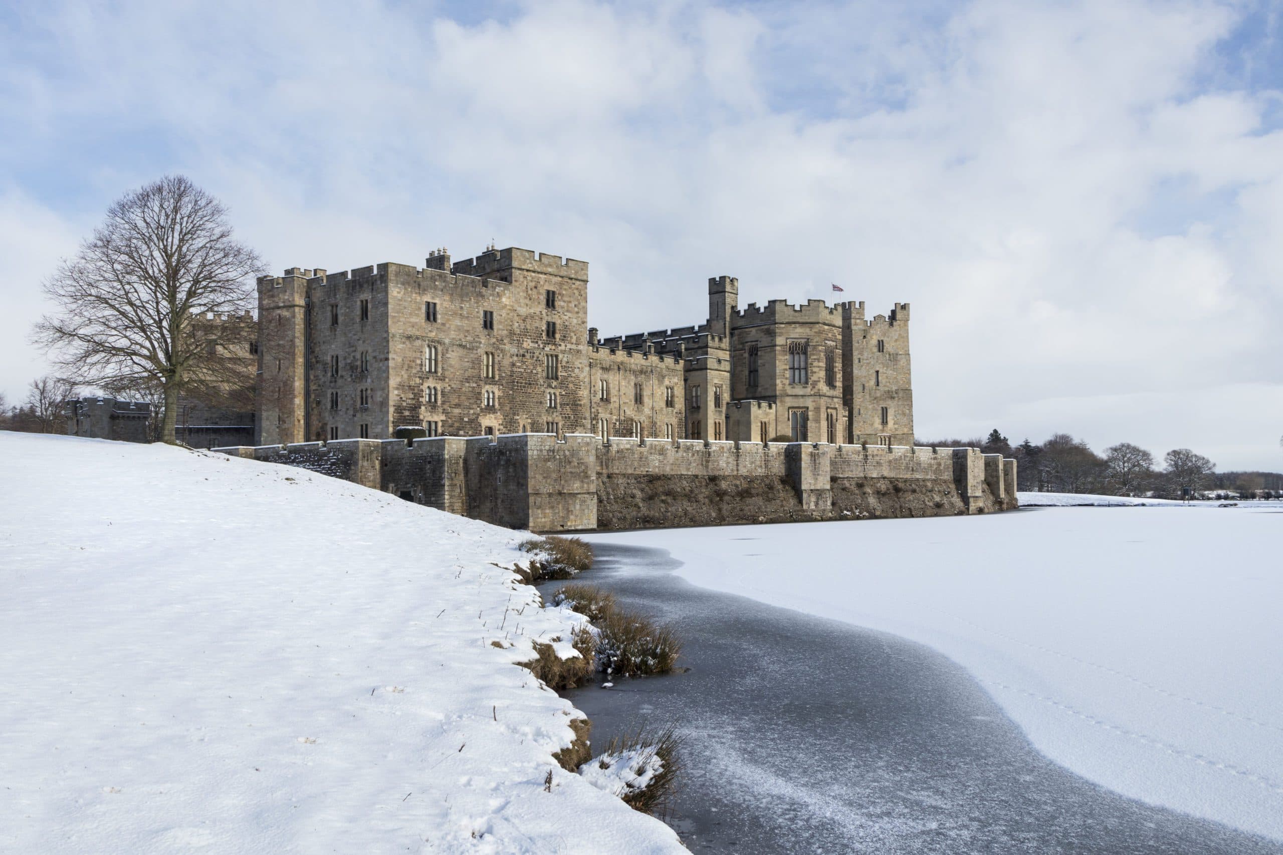 New Year’s Day Charity Walk