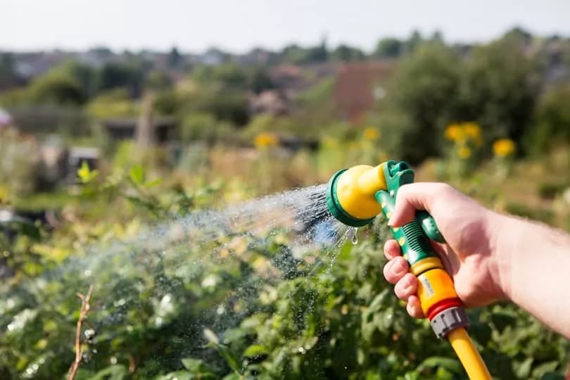 Durham County Council Proposes Fairer and More Flexible Allotment Rules