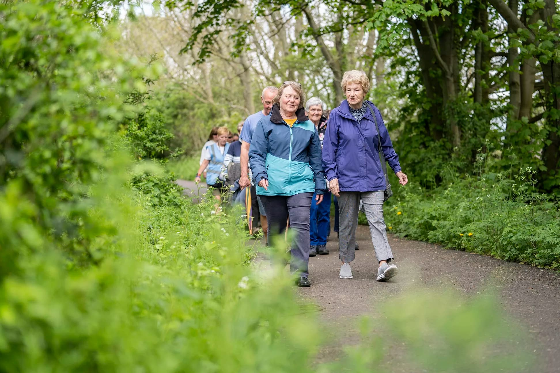 Free Wellbeing Walk and Picnic Planned for Riverside Park This July