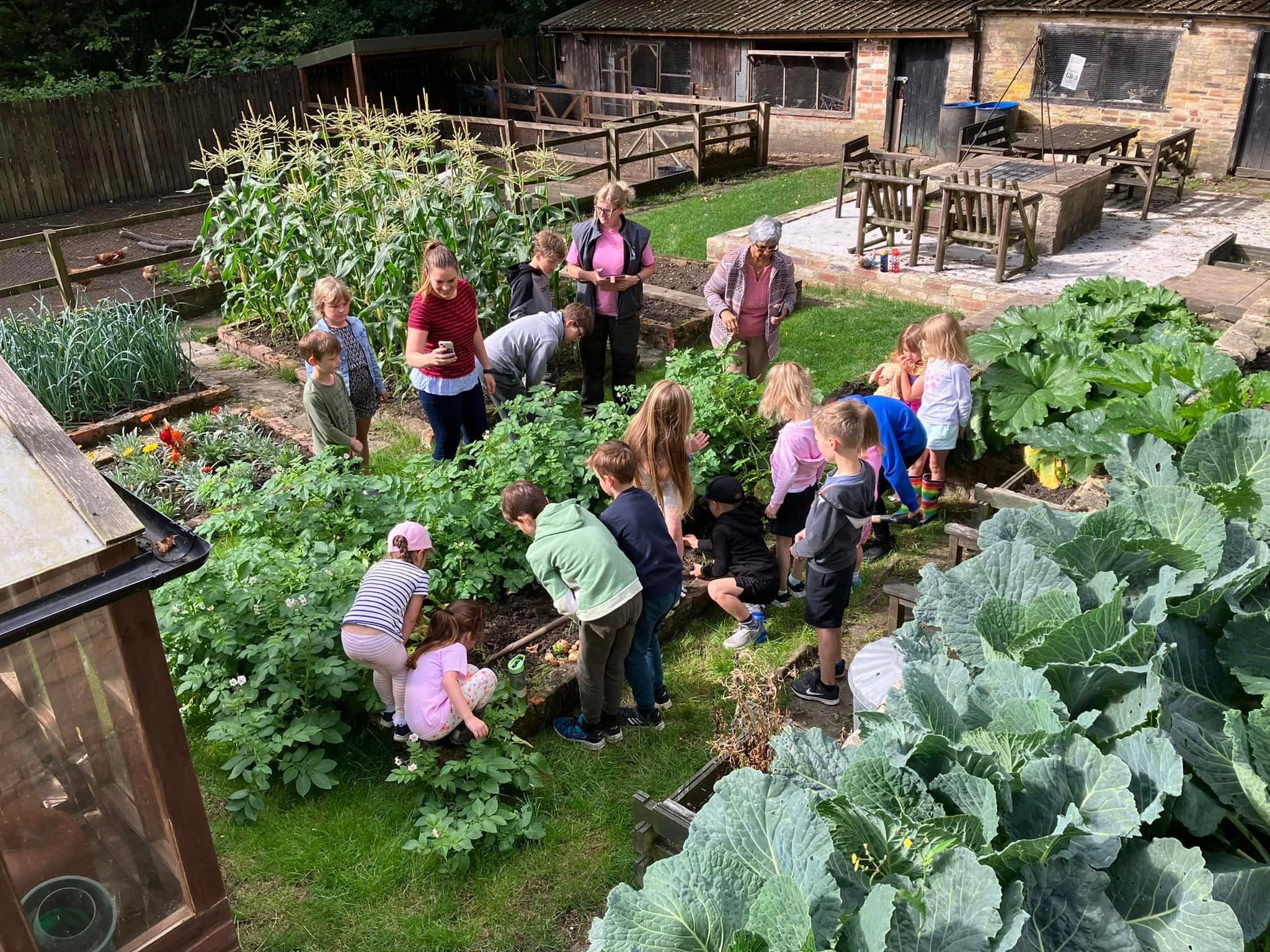 RH Amar Donates £3,900 to Support The Allotment Project’s Youth Initiatives