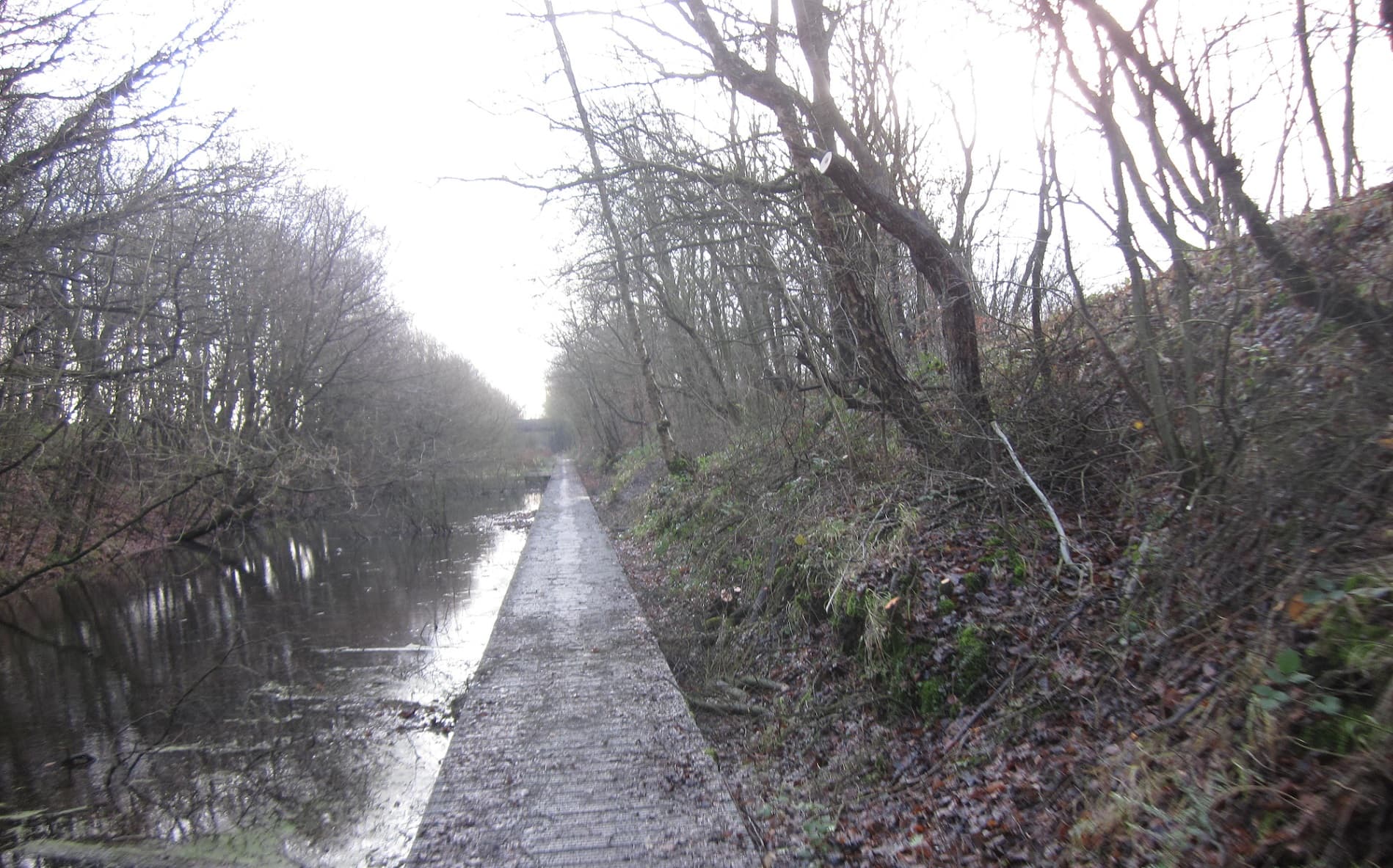 National Cycle Route 1’s Durham Section to Get One Million Pound Tidy Up