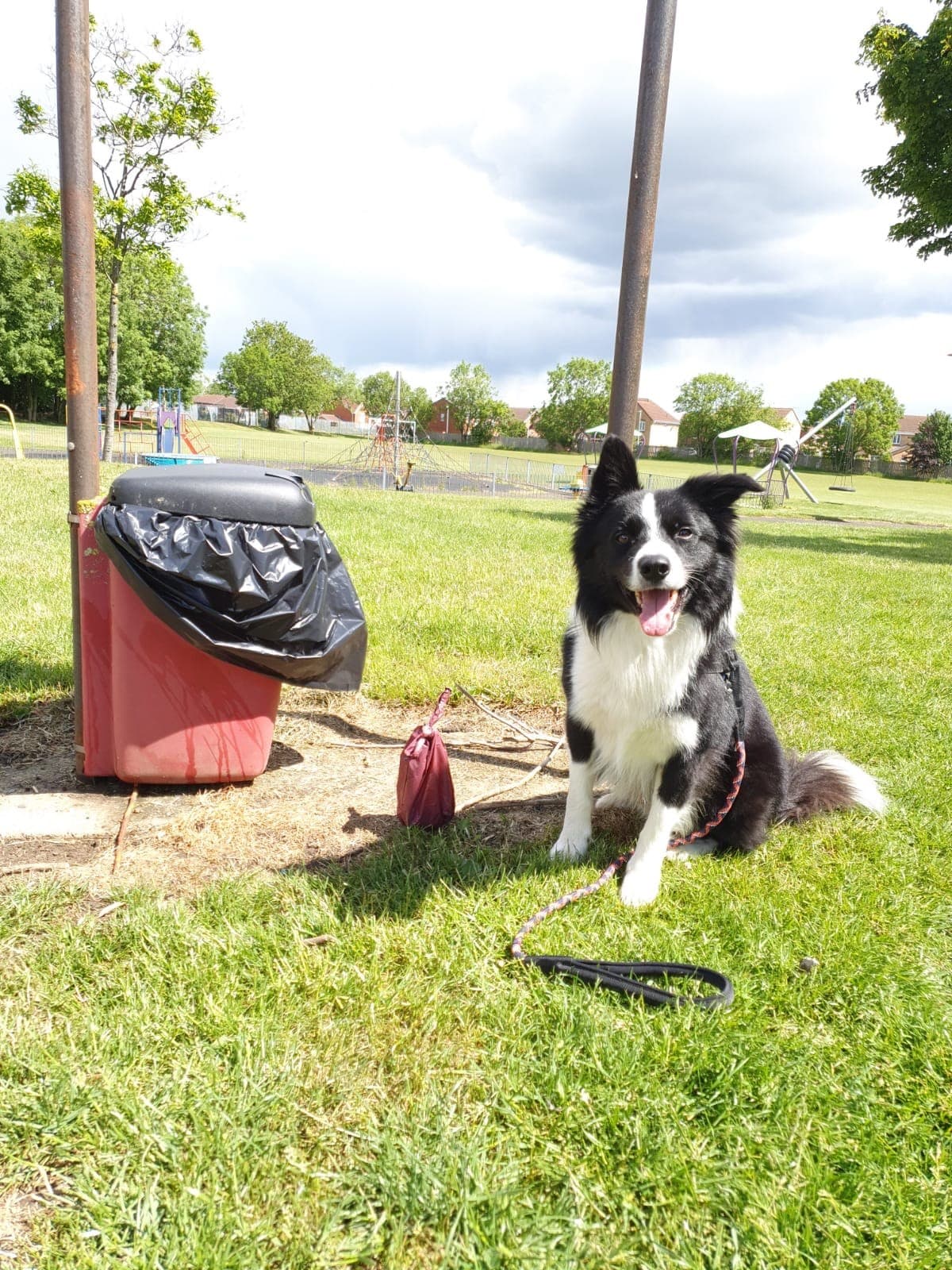 Extension of Dog Control Measures