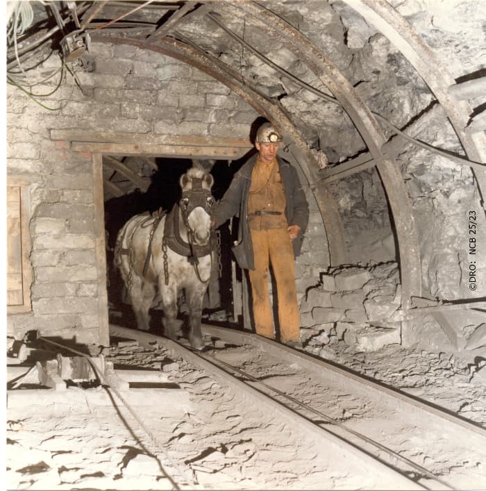 Explore County Durham’s Archives and Discover Your Past
