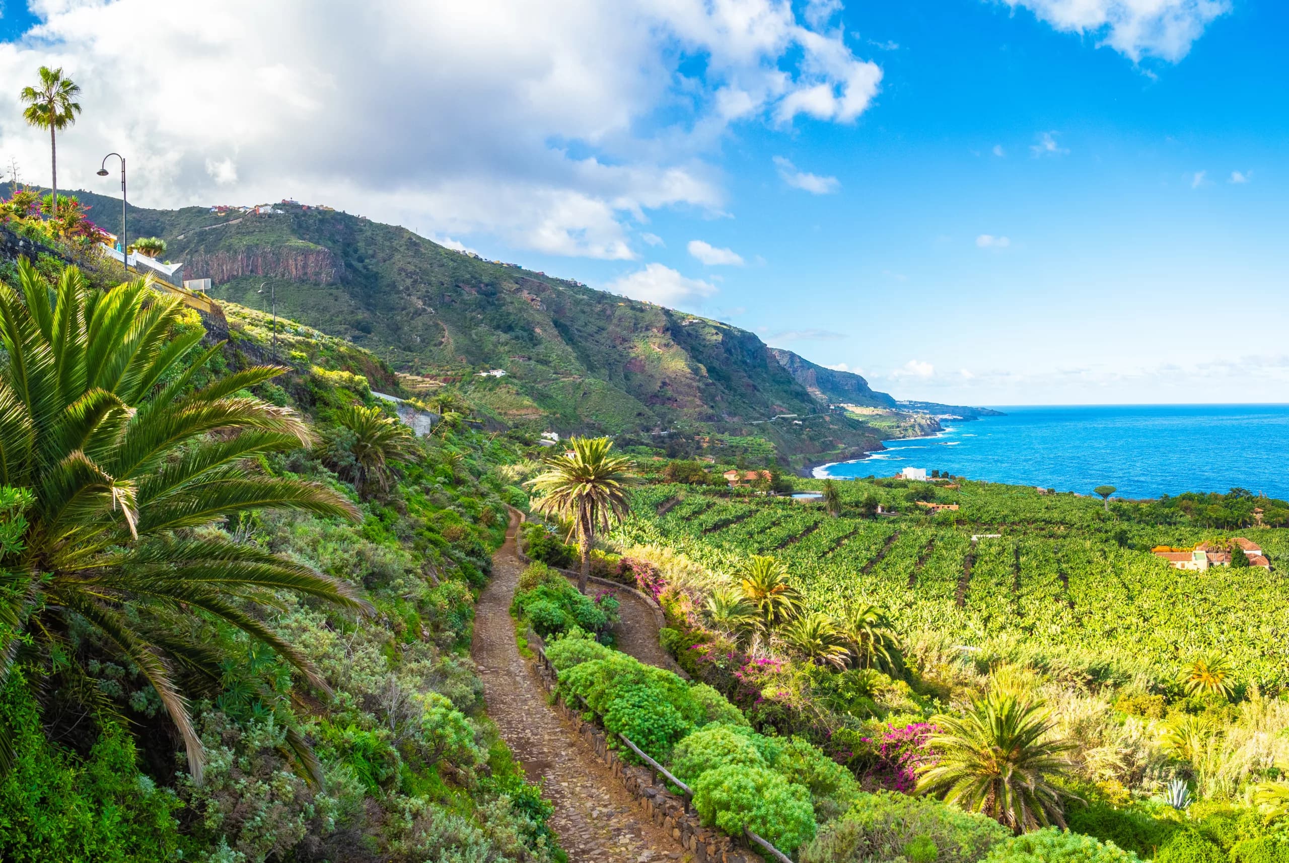 Why Tenerife is perfect for year-round holidays