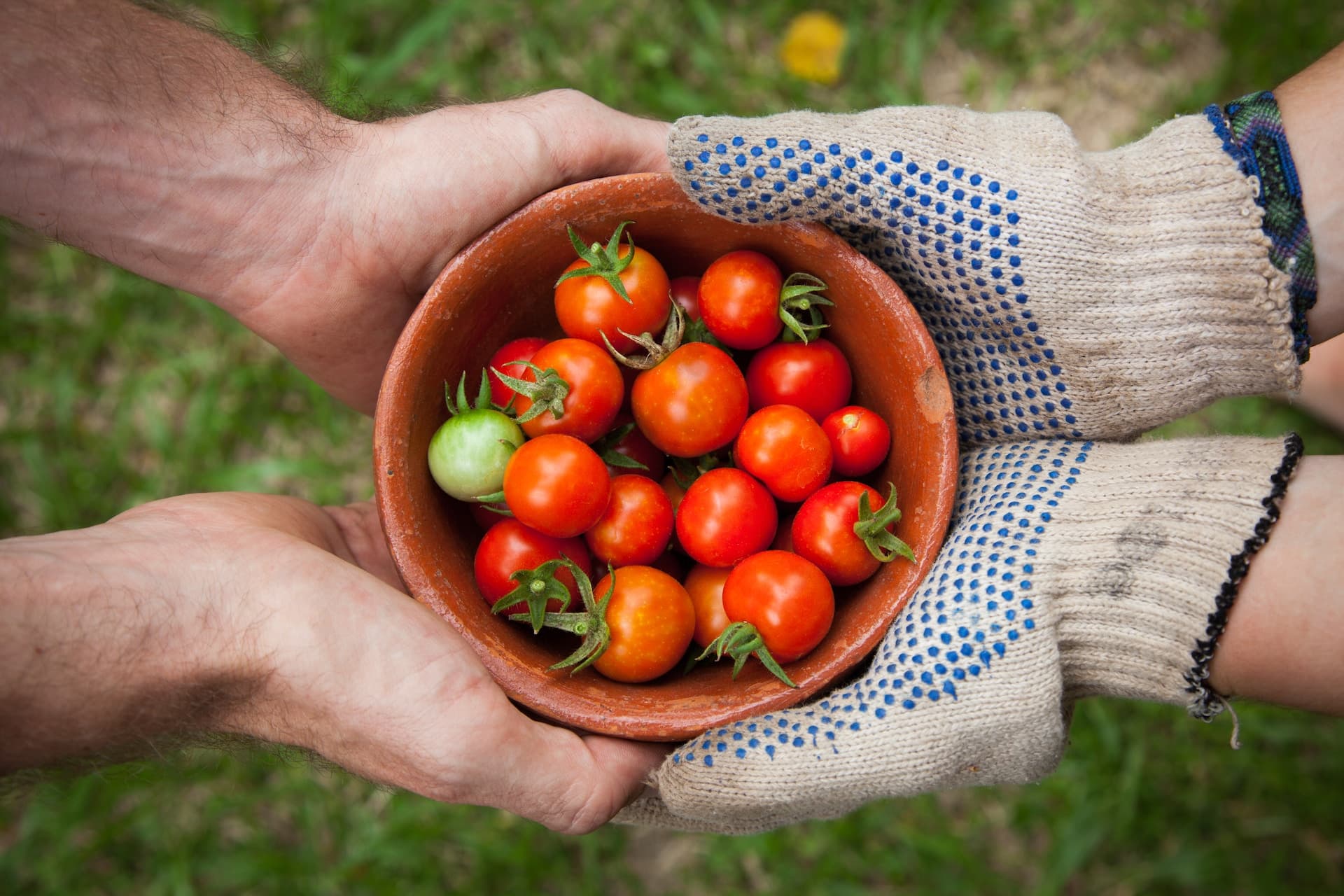 How to Embrace Simplicity & a Self-Sufficient Lifestyle