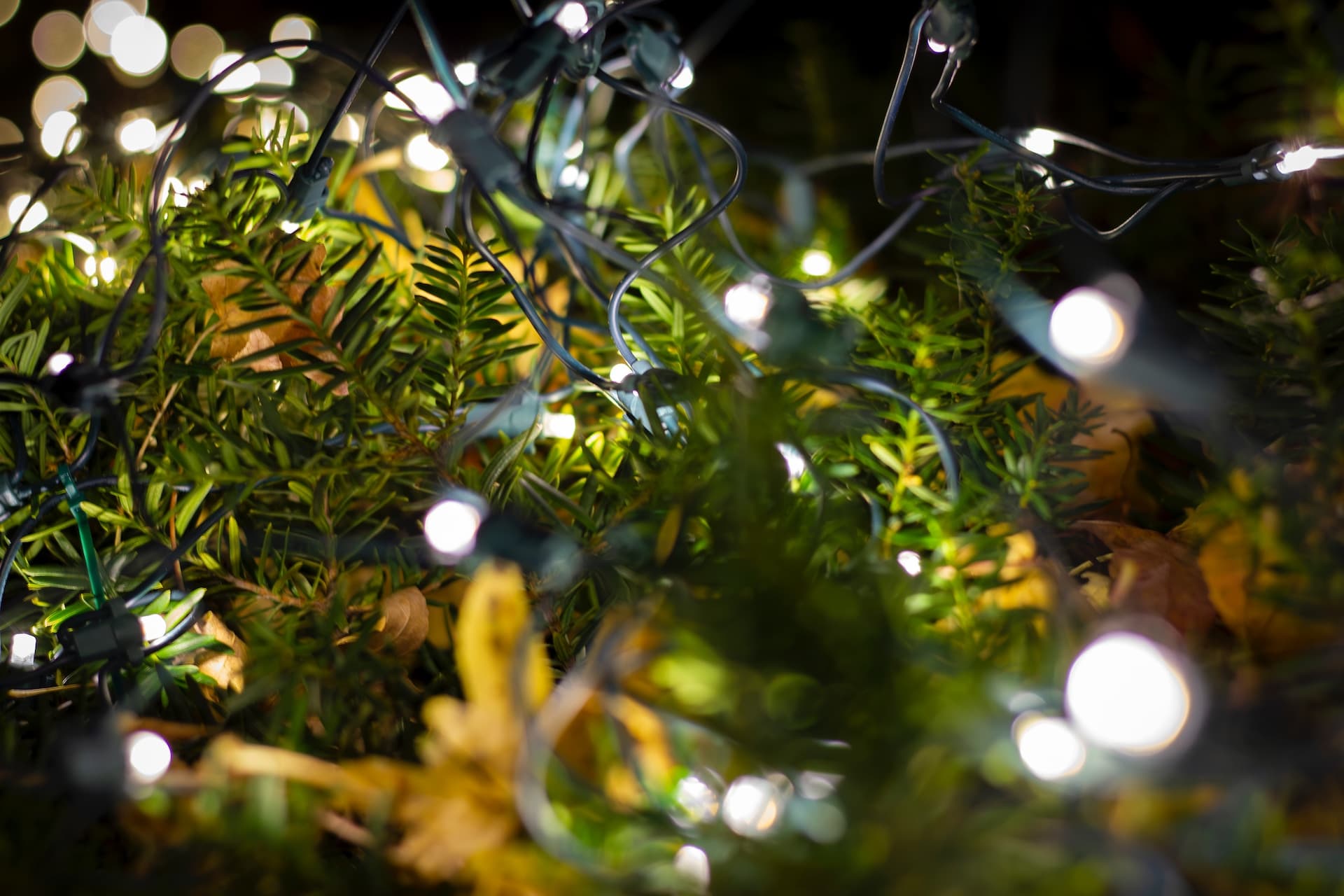 The Top Decorating Trends for Christmas 2023