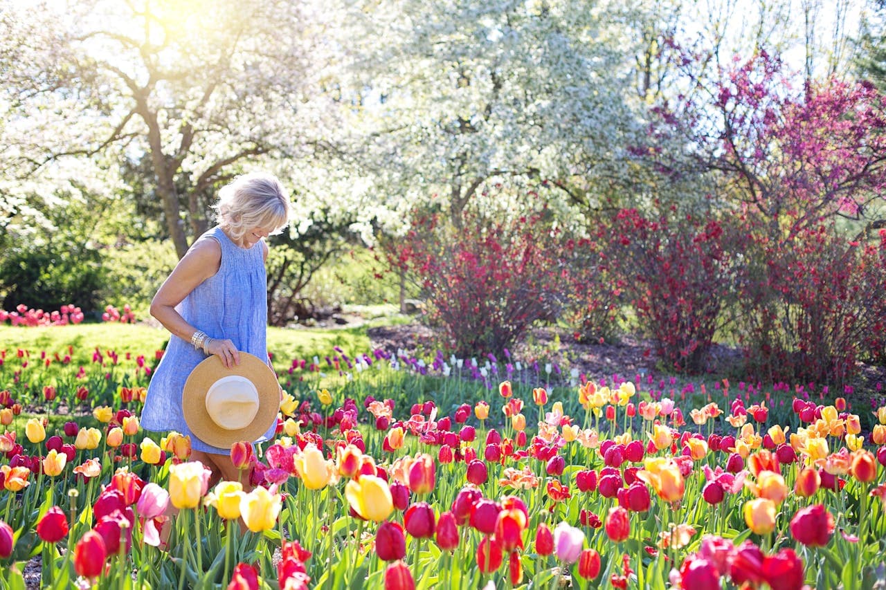 Five healthy hobbies to take up with your elderly loved ones this summer