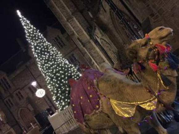 Durham to Host ‘Live’ Nativity Play with Real Animals and Baby