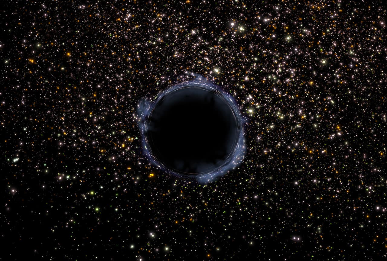 Black Holes