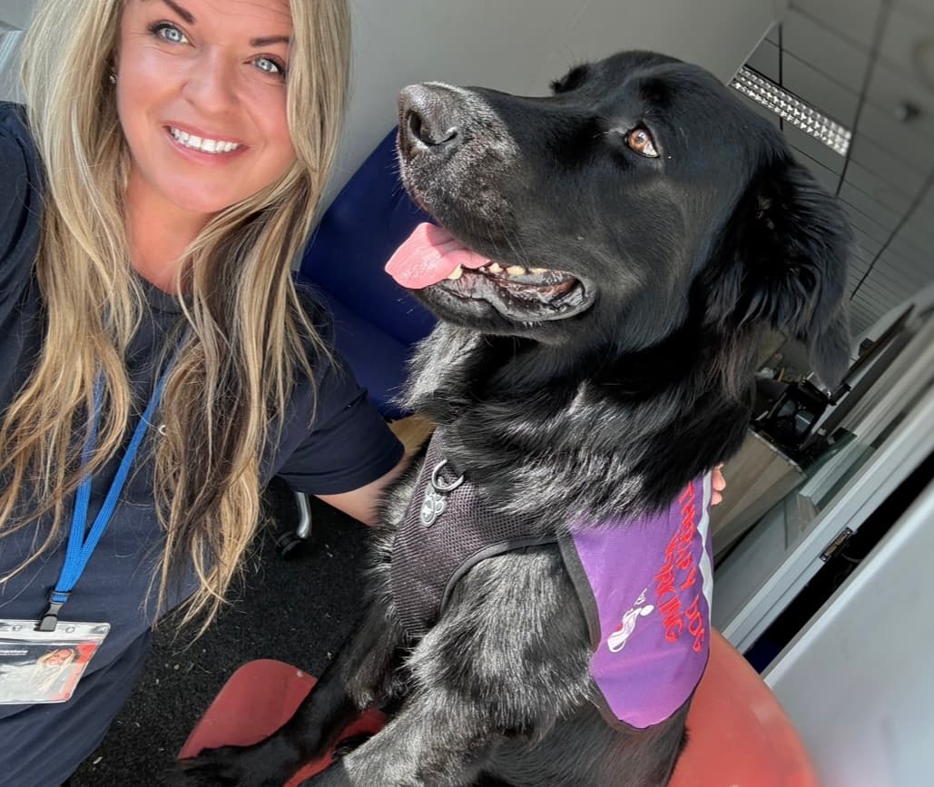 Cornerstone’s Therapy Dog Bob Transforms Homeless Support in the Northeast