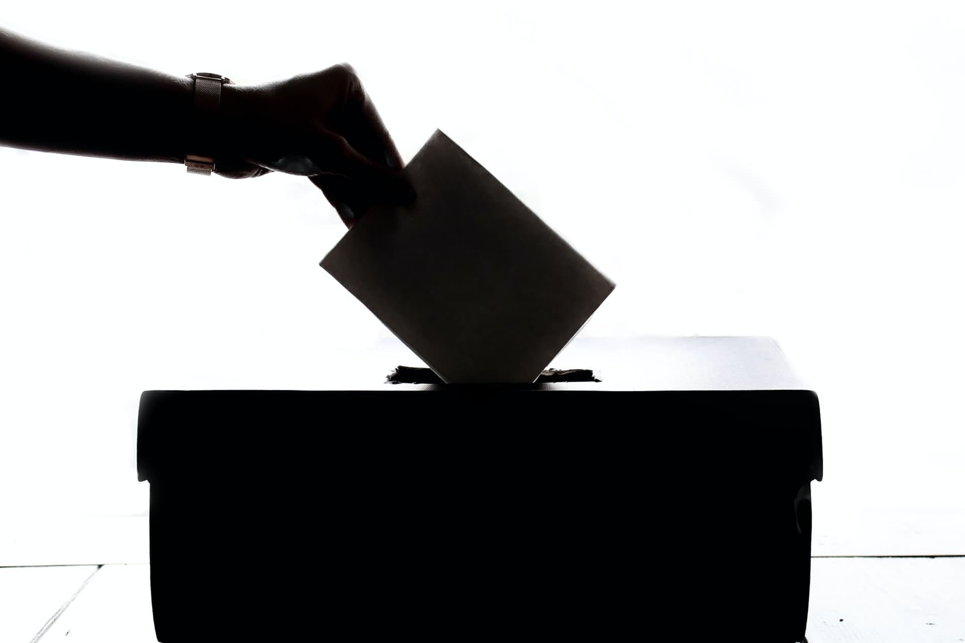 Annual Survey of Voter Information