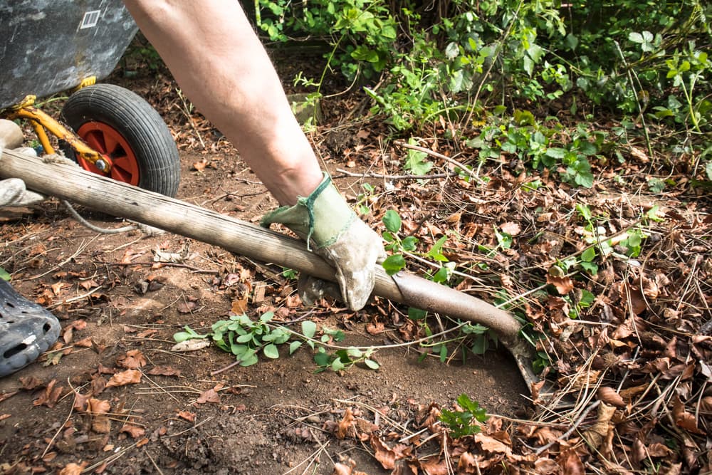 Sign Up For Garden Waste Collection Scheme, 2021