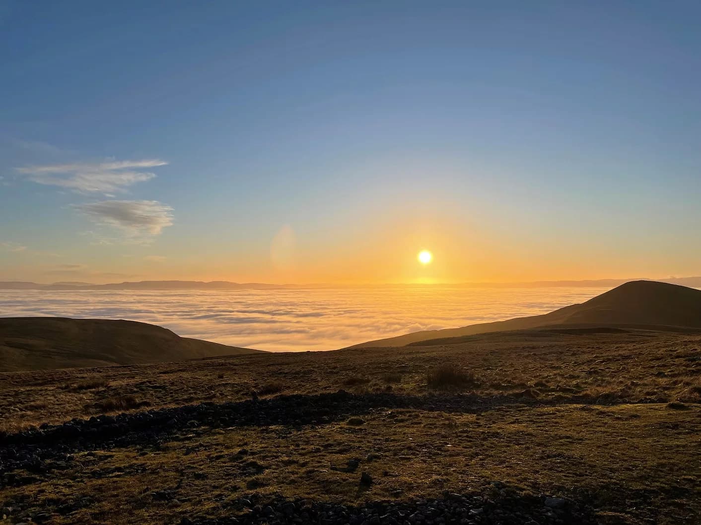 20 Years of Peatland Restoration: North Pennines Marks Major Nature Recovery Milestone