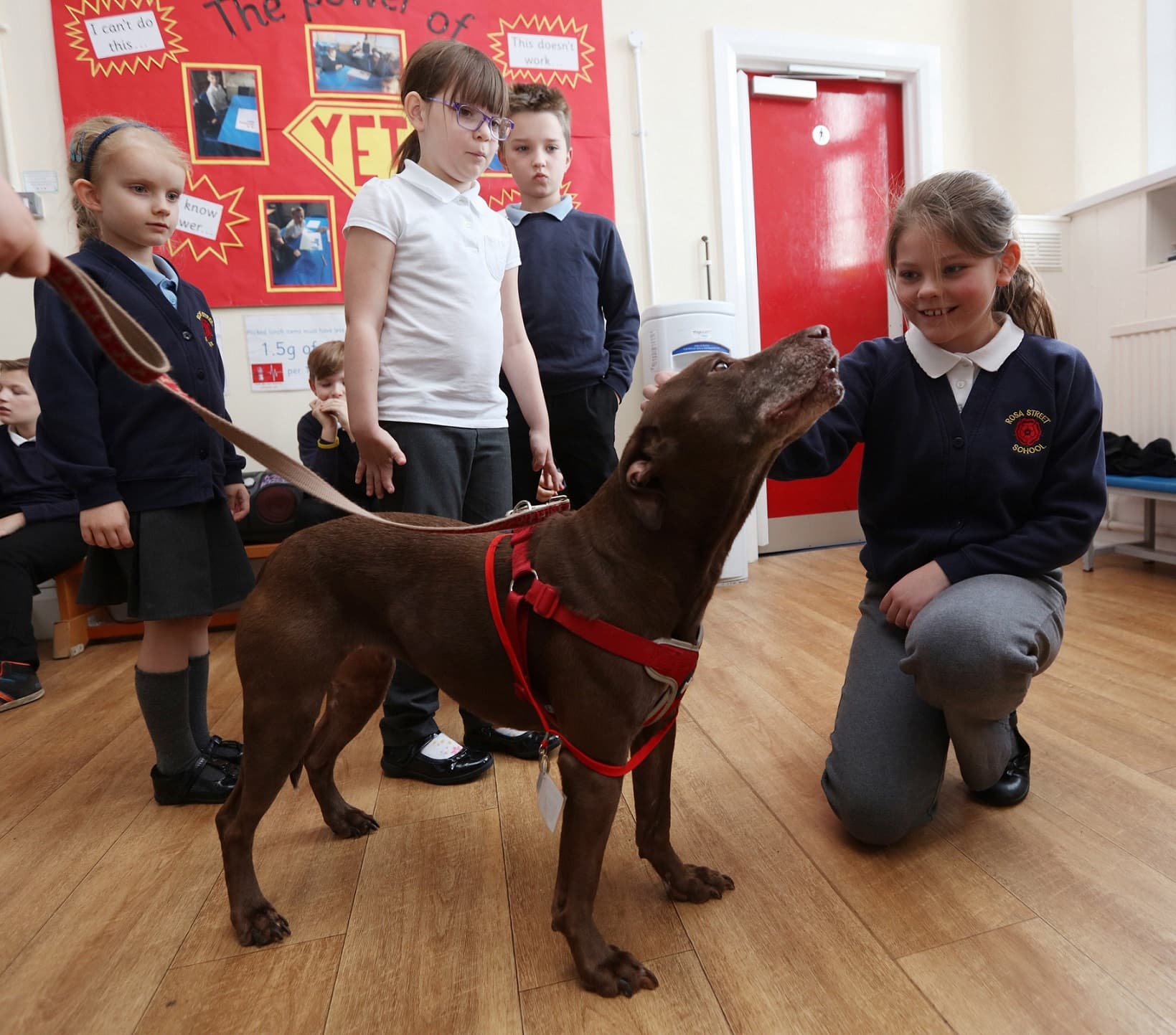 Waggy-tailed Guest Teaches County Durham Pupils about Dog Ownership