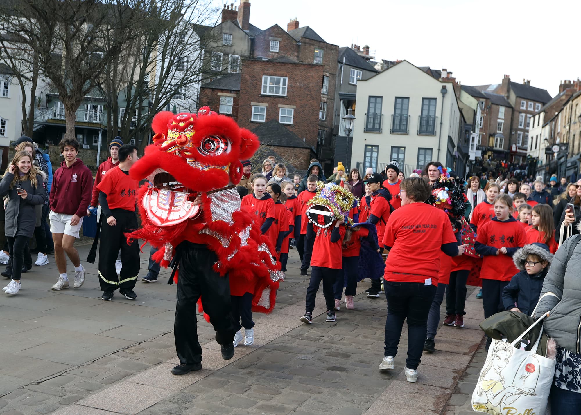 Chinese Lions in County Durham