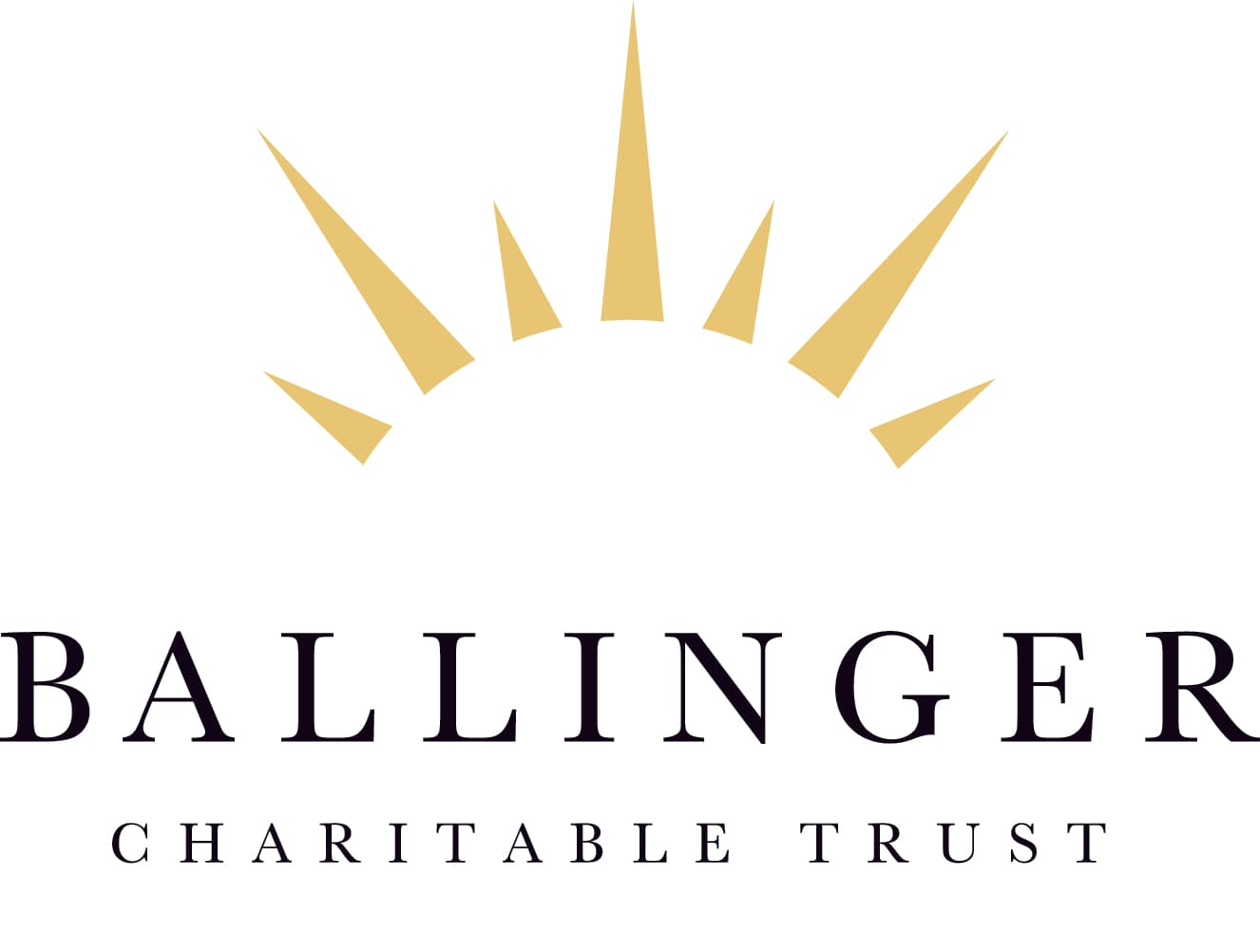 Local Charity Supporting Community Groups As Covid Restrictions Continue To Ease