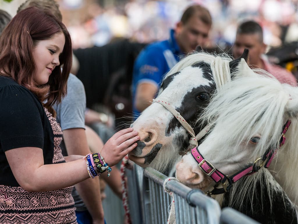 Traveller Stopover Areas Closed Following Appleby Fair Cancellation