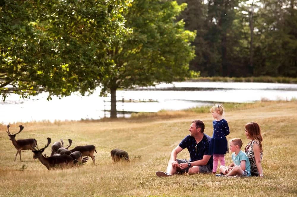 Father’s Day Fun: Free Entry for Dads, Tractor Rides and Barbeque at Raby Castle