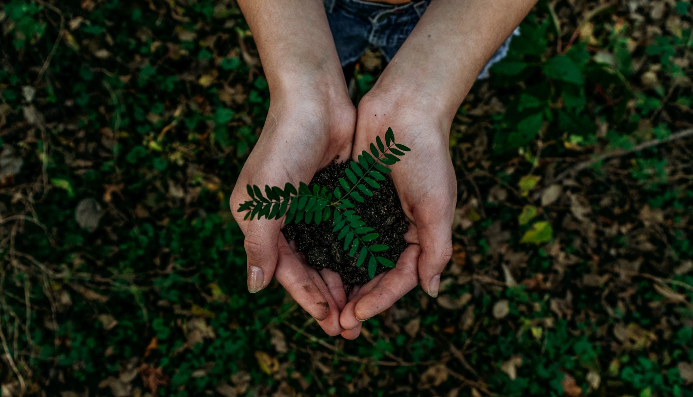 Eco-Friendly Lifestyle Changes That Can Make a Big Impact