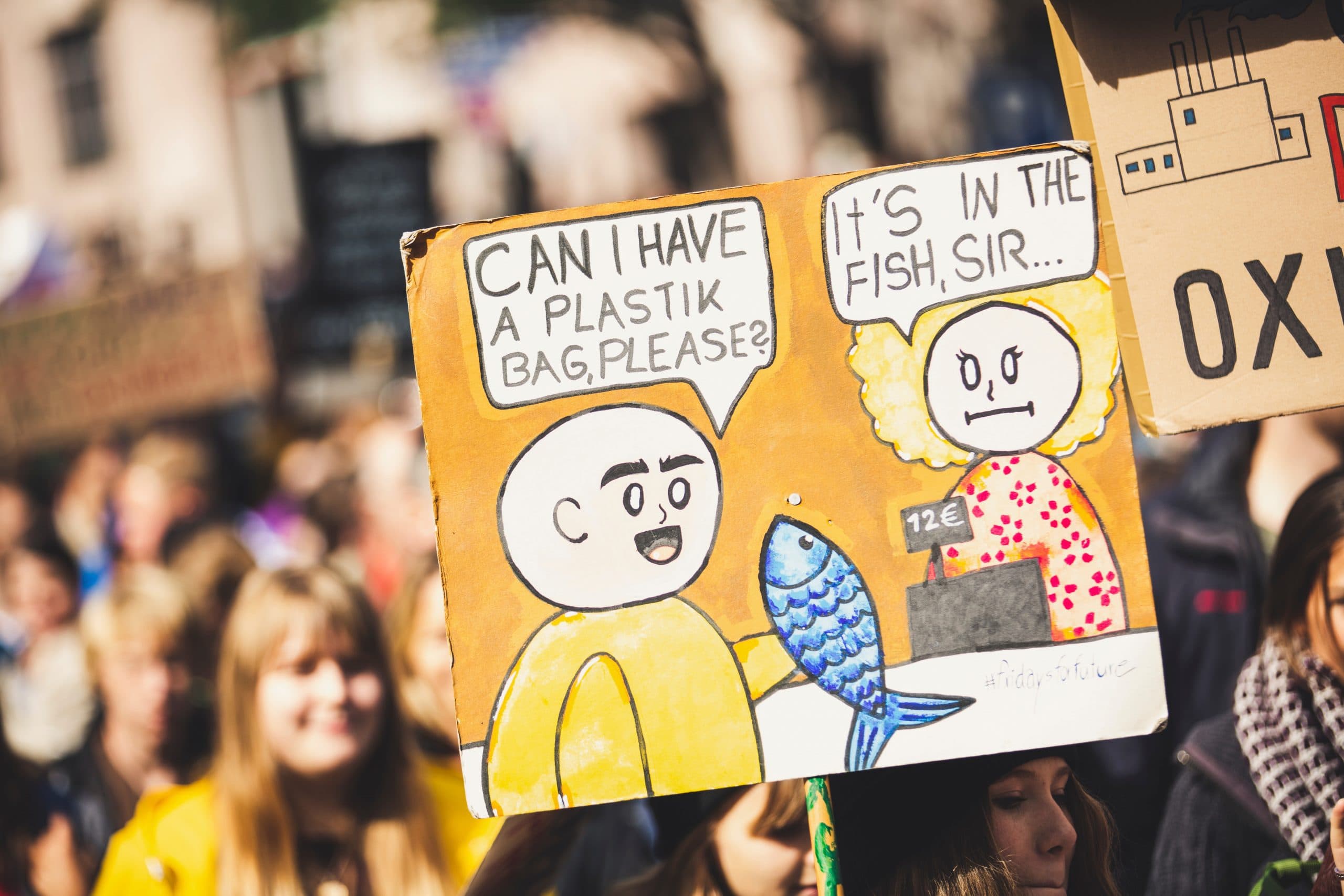 Council Unveils Ambitious Plan to Save the World