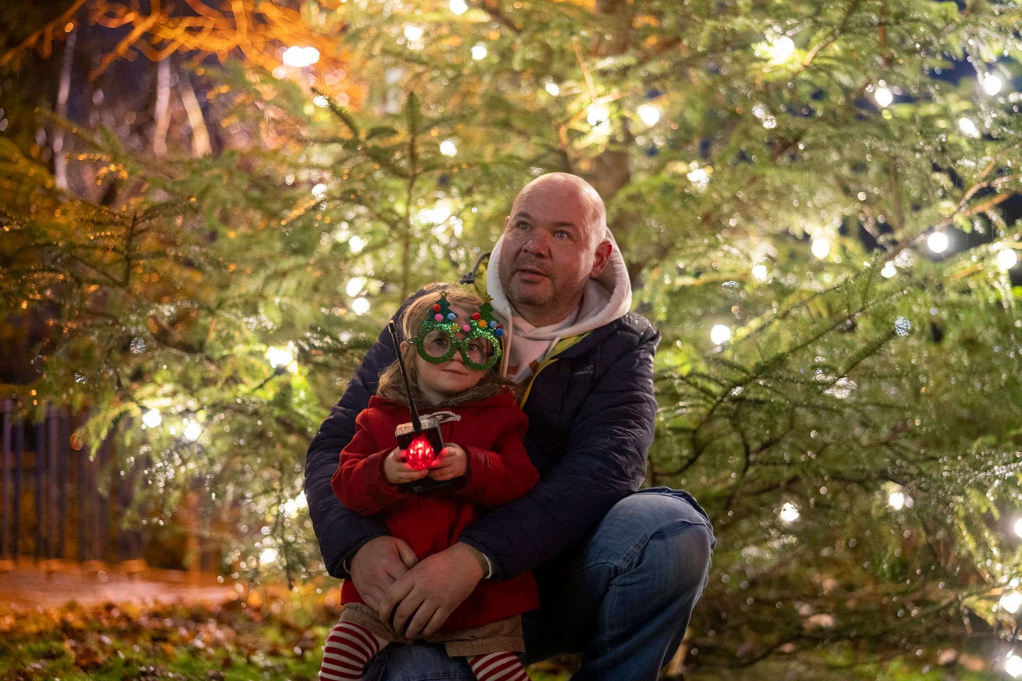 From Hospital to Festive Joy: Bea’s Inspiring Christmas Tree Lighting