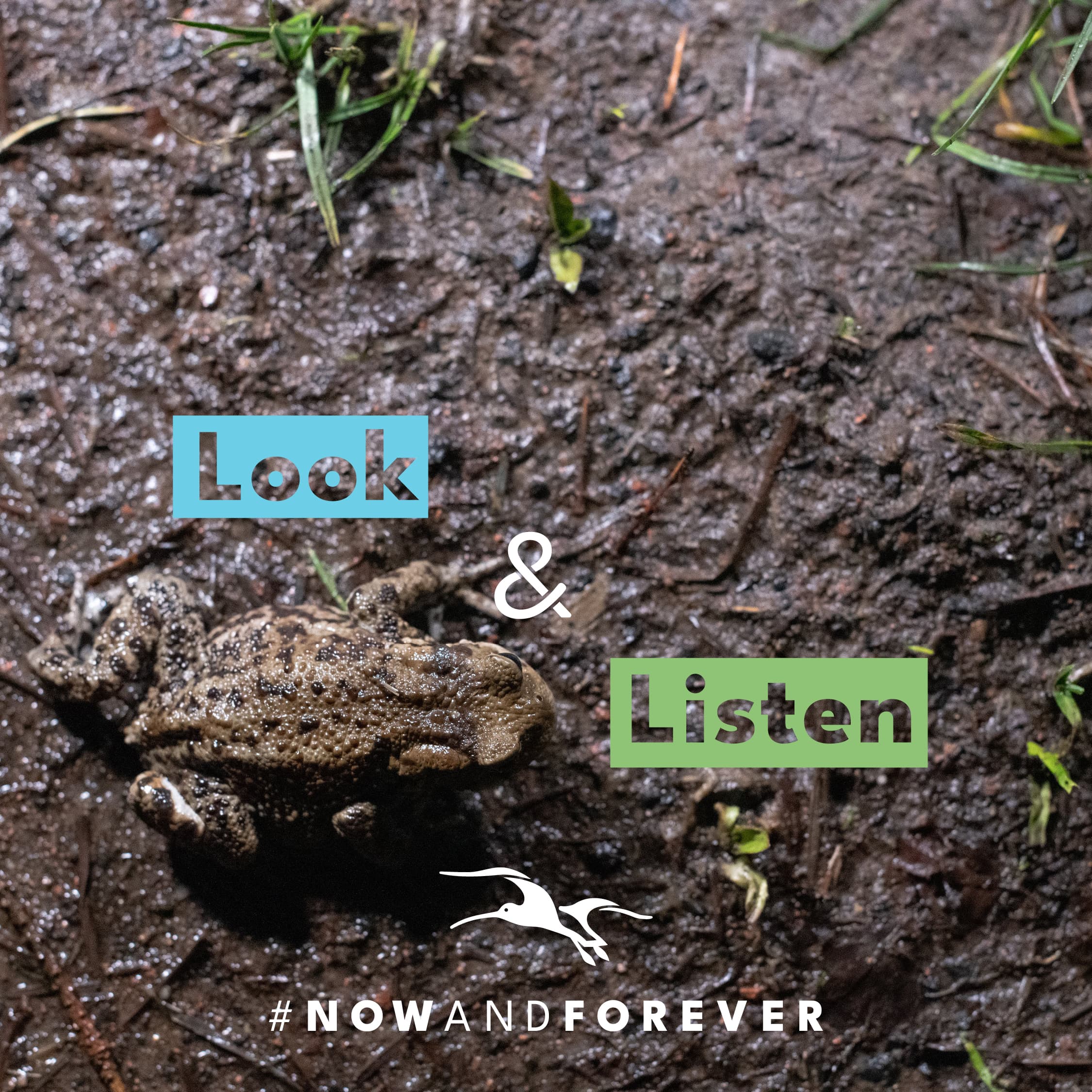 New Campaign Launched By Northumberland National Park Encouraging Responsible Visits
