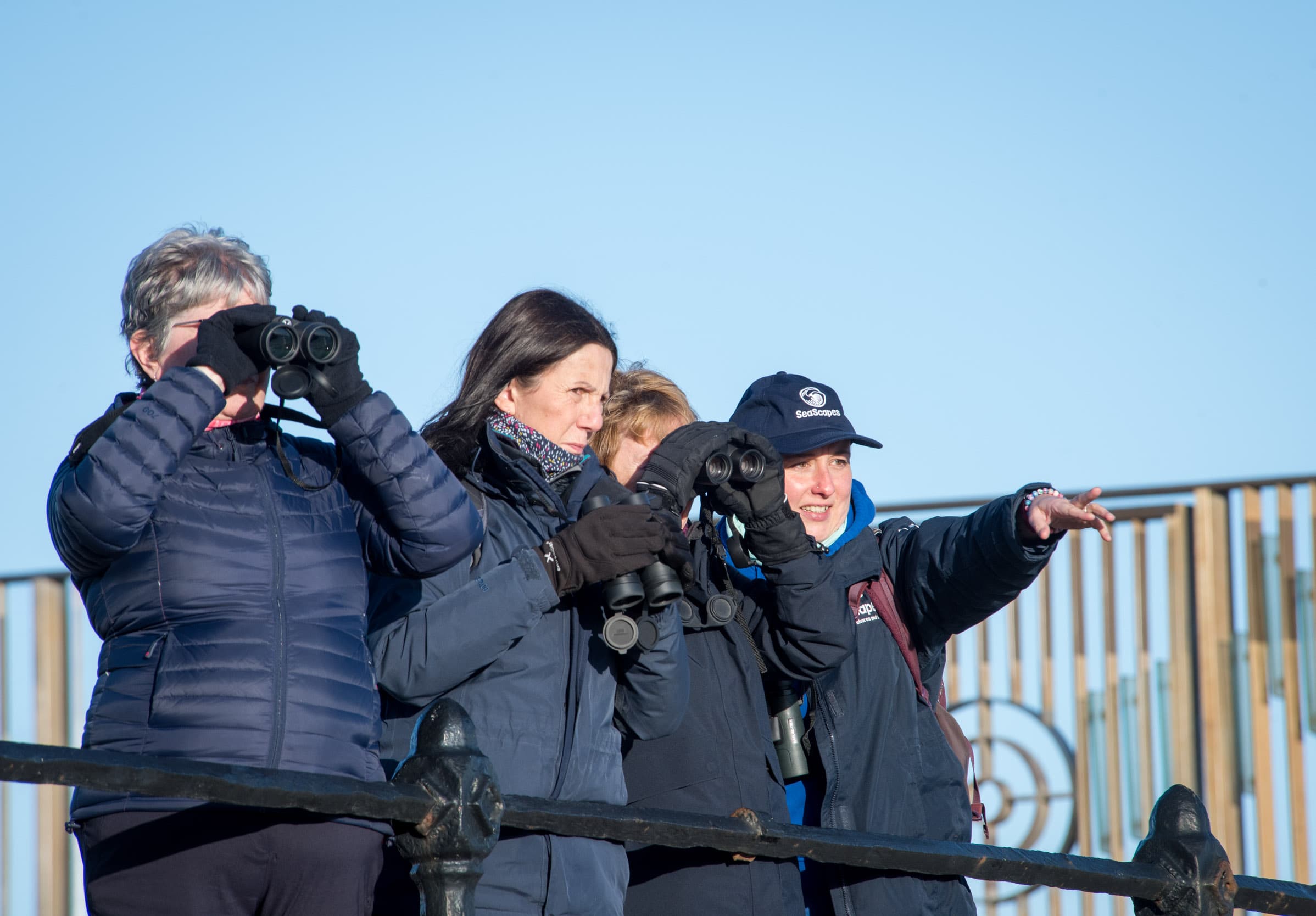 A Birdwatcher’s Delight: How to See the Best of the North East Coast this Winter