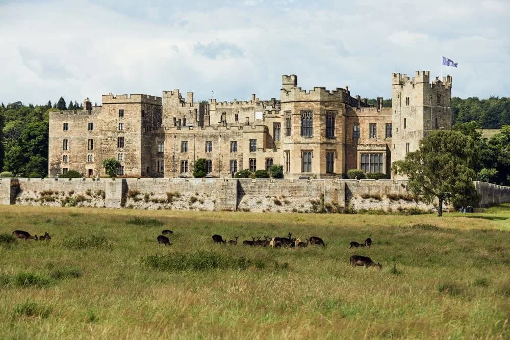 New Exhibitions, Tours & Daily Access: Raby Castle’s Exciting 2025 Season