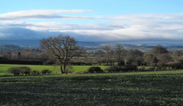 Visit County Durham Announces Support for Visitor Economy Businesses