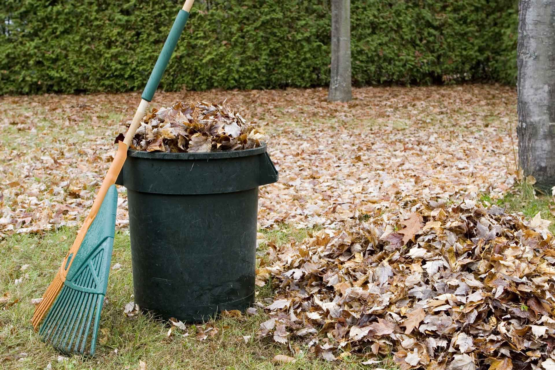 The Council Returns Garden Waste Collections