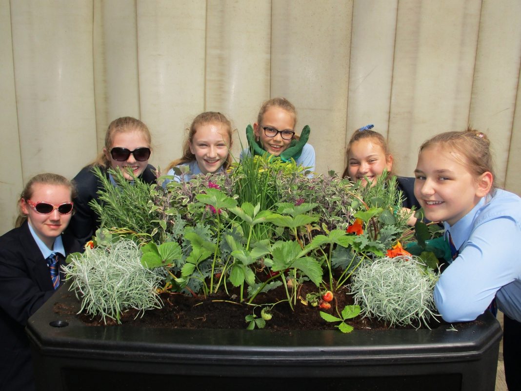 Edible planting school pupils