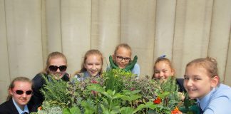 Schoolkids Plant Edible Gardens in Durham City Centre Edible planting school pupils