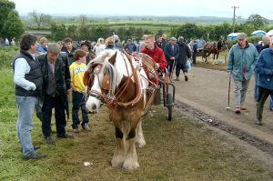 "2005-06-04 Appleby Horse Fair 2" by chandos is licensed under CC BY-NC-SA 2.0 