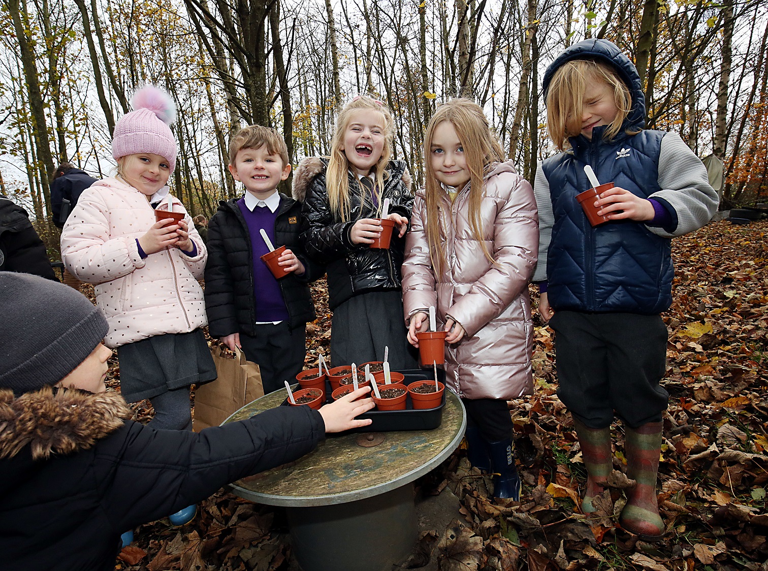 Primary pupils are planting for the future