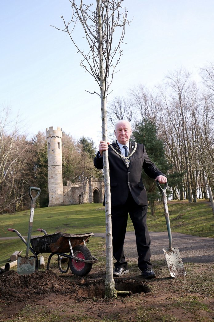 The Chairman of the North East’s Largest Council Plants Tree as Part of Queen’s Jubilee Celebrations