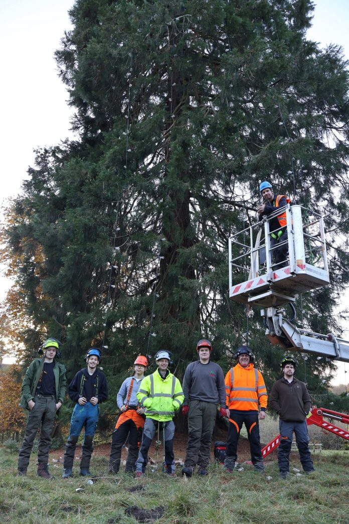 Festive Illumination: How Students from East Durham College Lit Up Auckland Castle