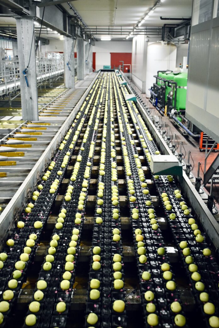 Running a food production business in 2024? Guarantee success with these strategies