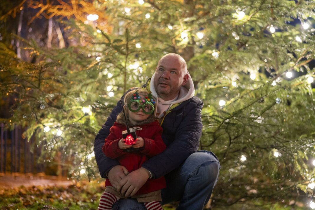 From Hospital to Festive Joy: Bea's Inspiring Christmas Tree Lighting