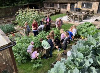 RH Amar Donates £3,900 to Support The Allotment Project’s Youth Initiatives RH Amar Donates £3,900 to Support The Allotment Project’s Youth Initiatives