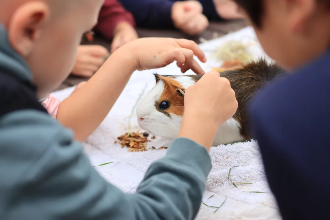 Funding Secured for Three More Years of Fun and Food in County Durham