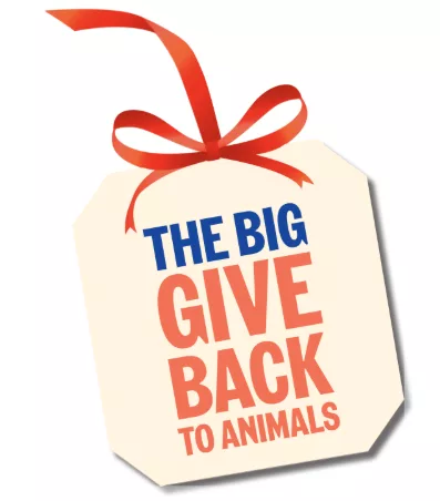 More Than 500 Animals Abandoned in Durham This Year as Charity Launches Urgent Appeal