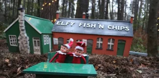 Twinkling Lights, Traditional Treats and Timeless Traditions at Beamish This Christmas Twinkling Lights, Traditional Treats and Timeless Traditions at Beamish This Christmas